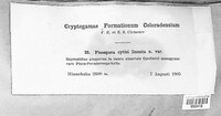 Image Associated With the Occurence